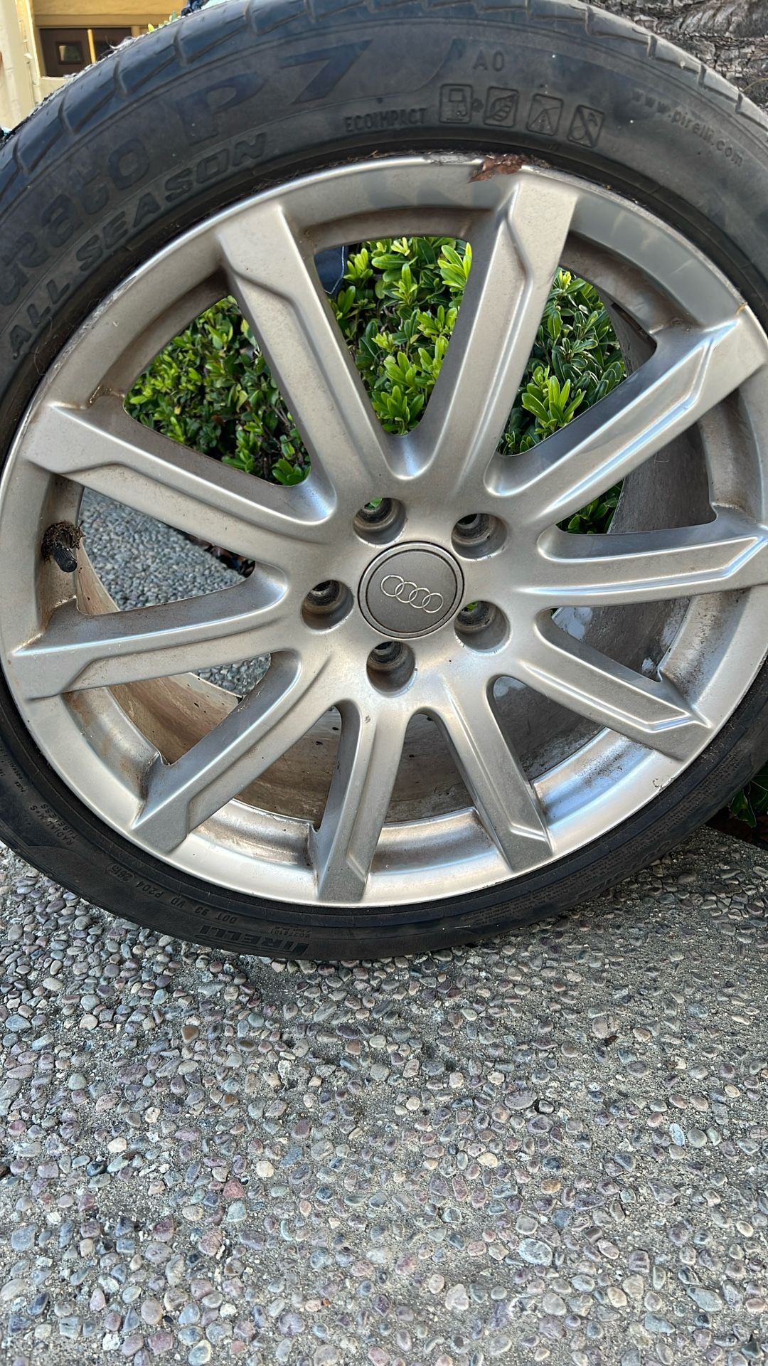 Audi Rims- Set Of 4