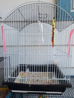 Bird Cage