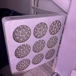 Vipar LED Grow light 675 Watt 