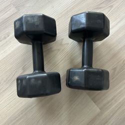2 8lb Weights