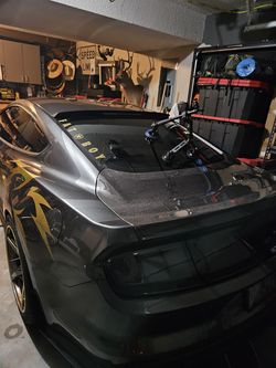 Mustang carbon fiber trunk