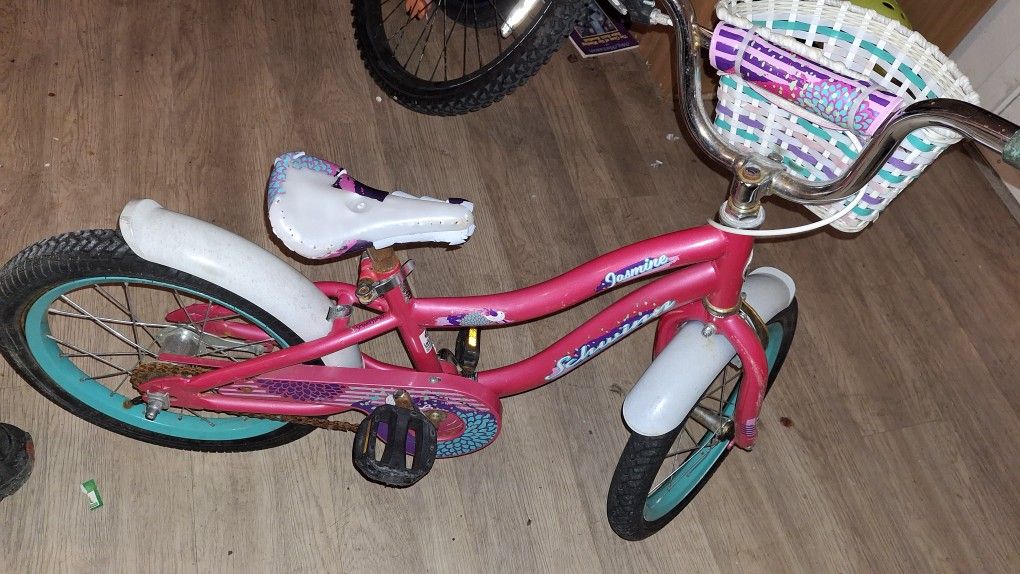 Young Kids Bike Schwinn