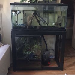 40 Gallon Fish Tank With Stand Black San And There’s A Working Filter I’m Asking For $17 Open For Trades