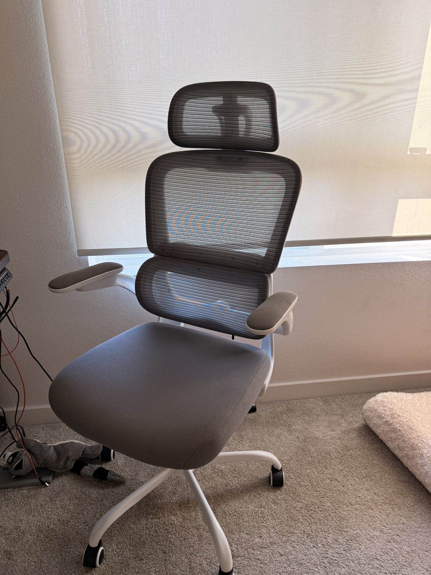 Office Adjustable desk and Chair
