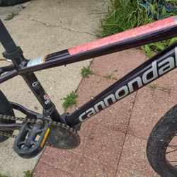 Cannondale Trail 20 Single Speed