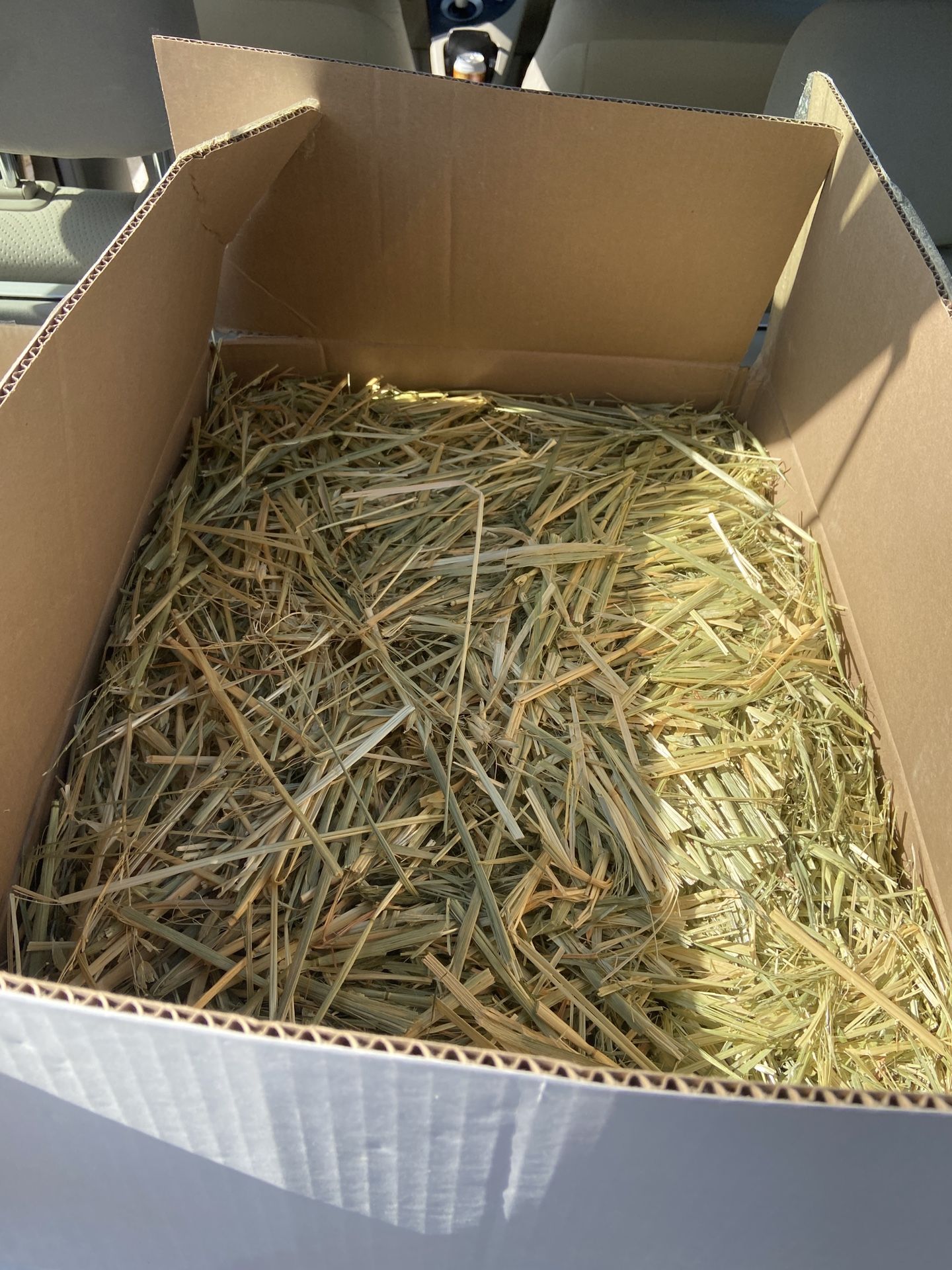 Oat hay -20lb