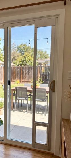 Pet Door