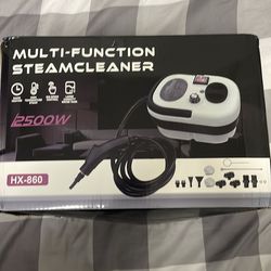Multi function steam cleaner