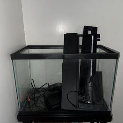 20gal tall tank with newish filter