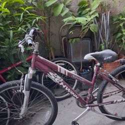 Bikes For Sale