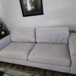 Light Gray Couch. 