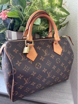 Louis Vuitton Speedy 25