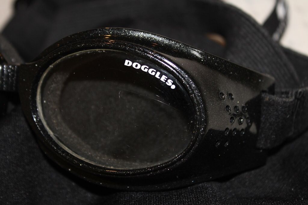 Doggles Originalz | Dog Eye Protection