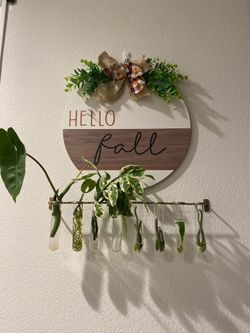 Plant Trade/Swap