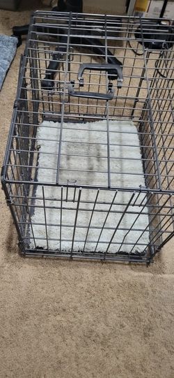 Dog Cage