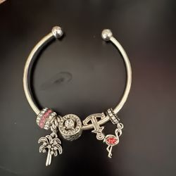 pandora charm bracelet 