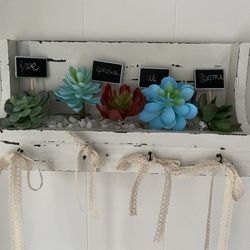 Succulent Garden