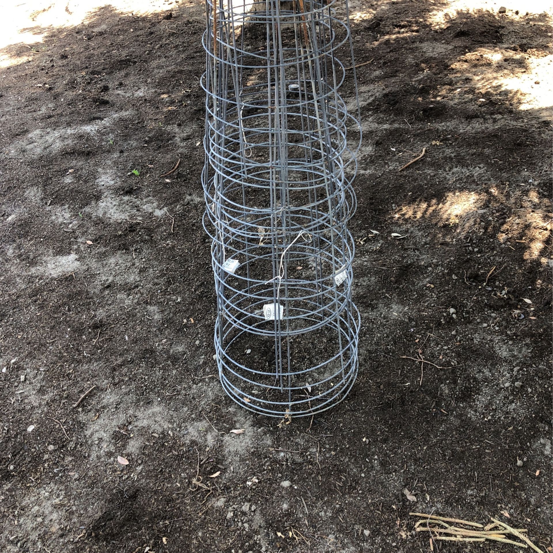 Tomato cage Galvanized