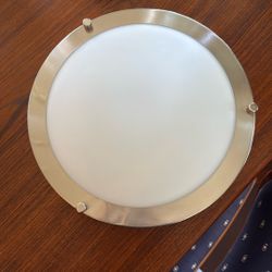 Integrated LED light