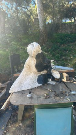 Cow Head