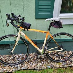 Trek 2.1 WSD 54CM 