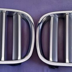 07-10 BMW Kidney Grills