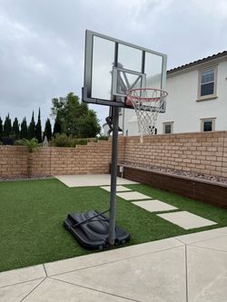 Free basketball hoop