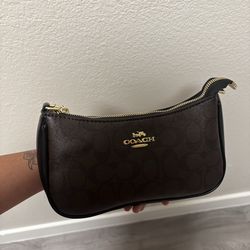 Teri Bag, purse, coach