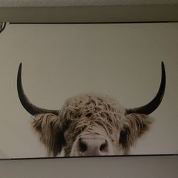 Cow Frame 🖼️ 