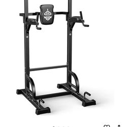 Pull Up Dip Station