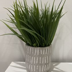 Artificial Plant