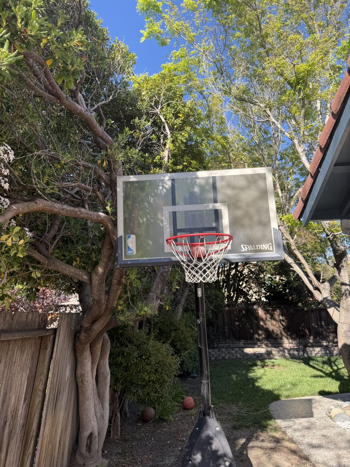 Portable Basketball Hoop