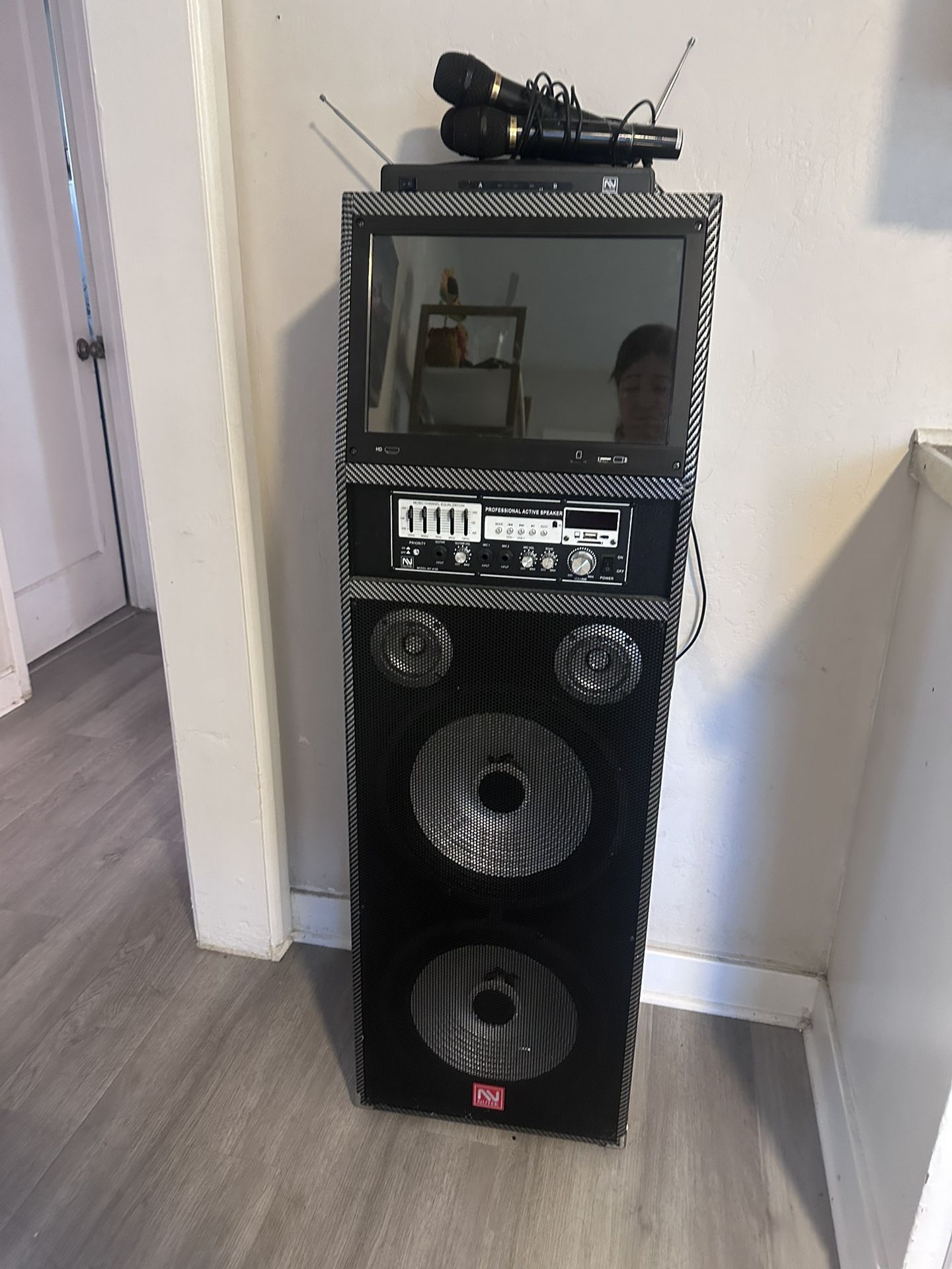 Nutec Wireless Karaoke