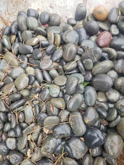 Free landscape rock