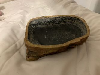 Reptile bowl