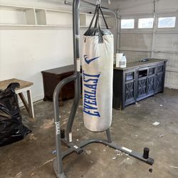 Everlast Punching Bag And Stand