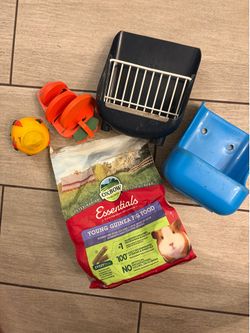 Guinea Pig Supplies Bundle