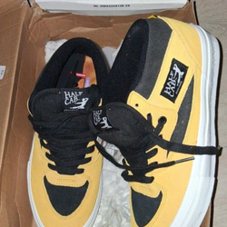 Vans half cabs Bruce Lee 9.5