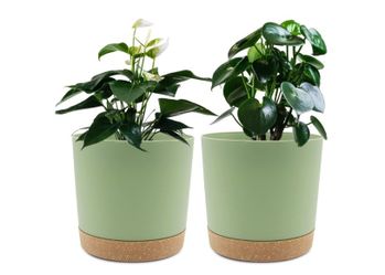 (2) 6.5” Planters For Indoor Plants With Drainage Holes & Saucer