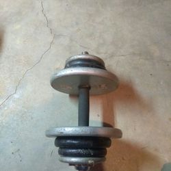 One adjustable dumbbell 44 Lbs total. Una pesa, 44 libras.