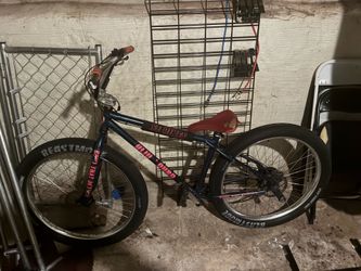 She bike