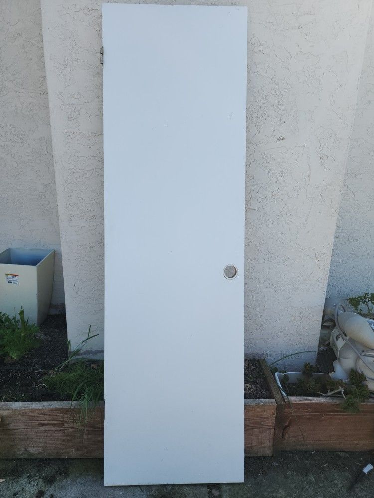 Closet Door 24"