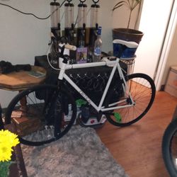 Critical Lightweight Race Bike