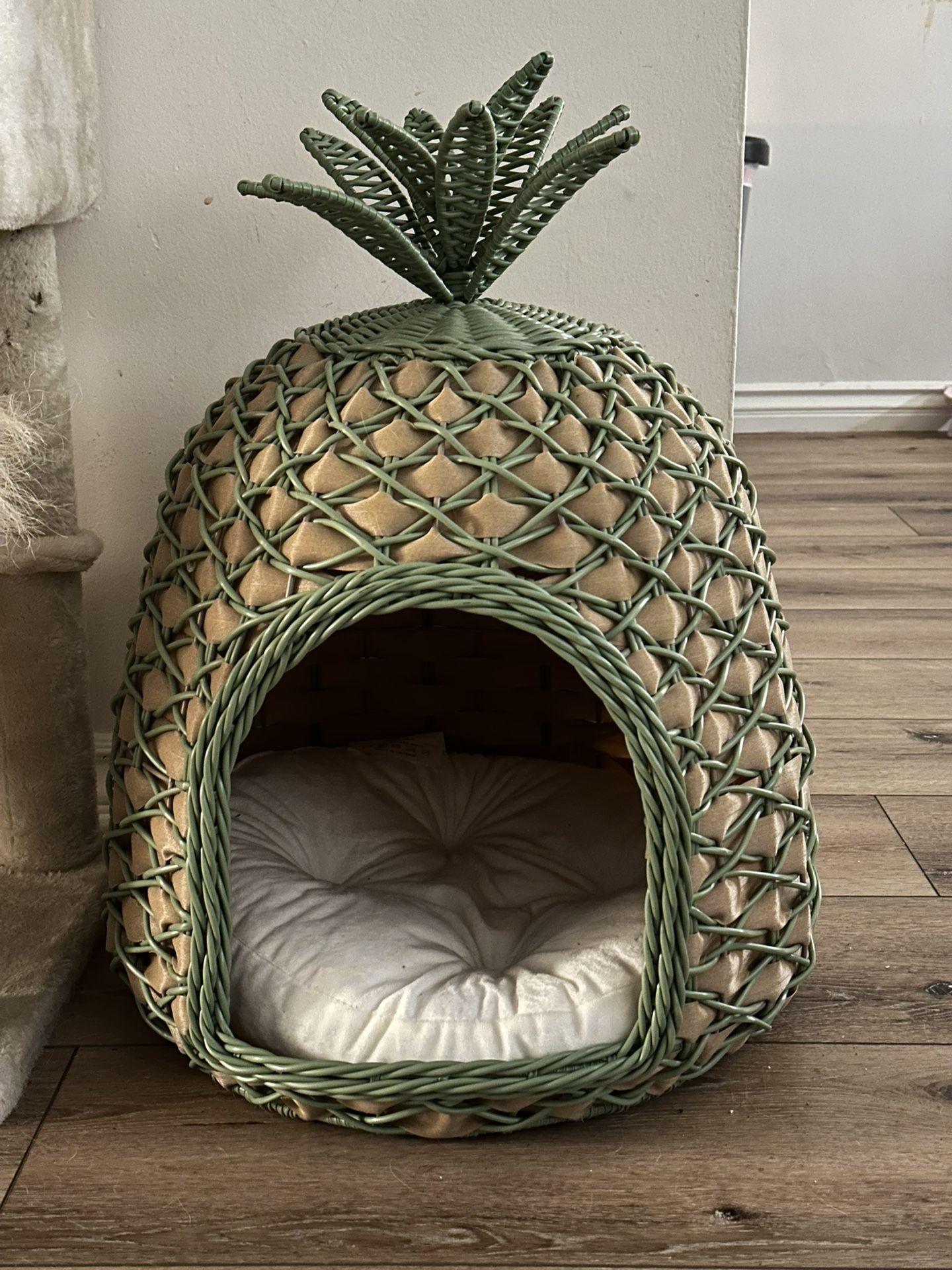 Pineapple Cat House