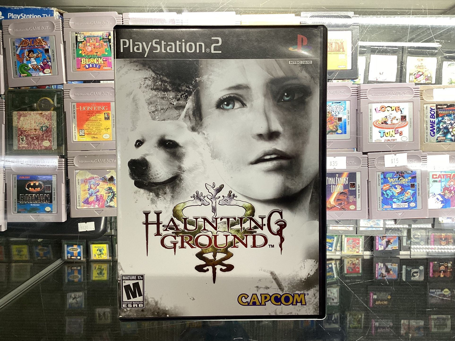 Haunting Ground