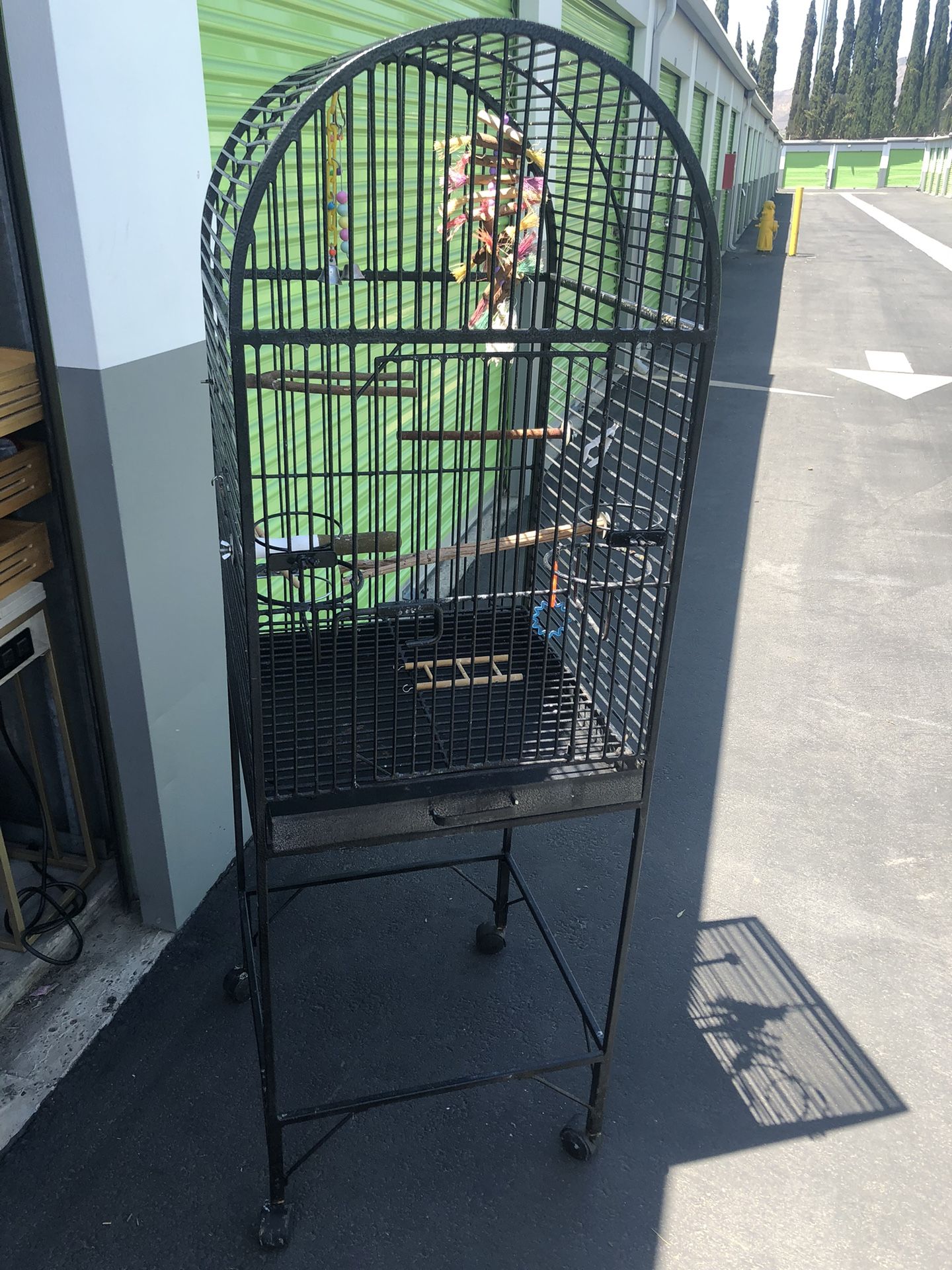 Bird Cage