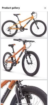 Raleigh Rowdy 20 Mountain Bike