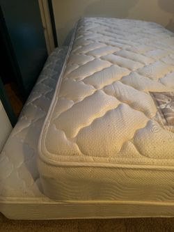 XL Twin mattresses (2) w/ steel frames