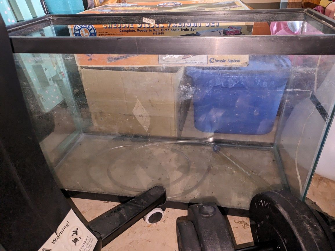 Fish Tank With Supplies