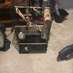 Bird Cage